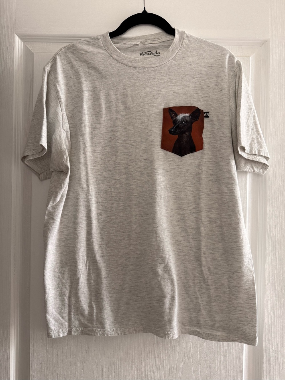 Men's Light Gray Pocket Tee with Graphic Dog Print